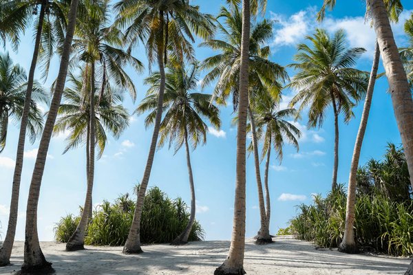 Les différences entre les sites de location de vacances et les agences de voyages