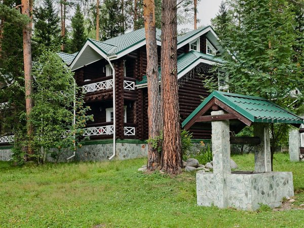 Les aventures de plongée avec les requins