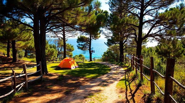 Optez pour des vacances inoubliables au camping Borepo en Hérault